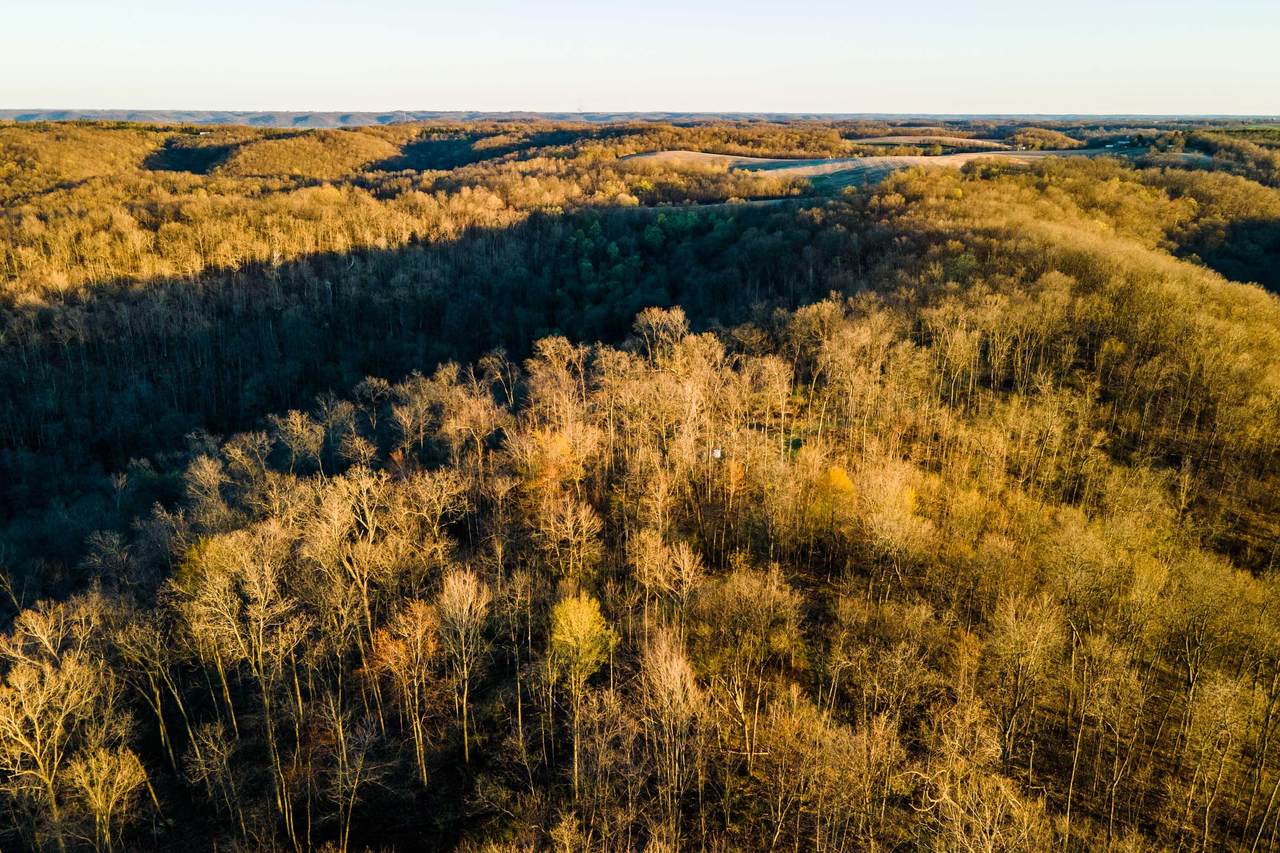 40009 County Rd S - Photo 1