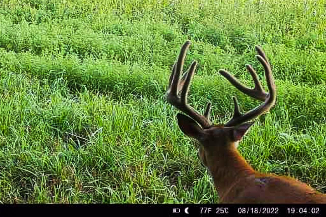 https://bt-photos.global.ssl.fastly.net/milwaukee/1280_boomver_1_1960384-2.jpg