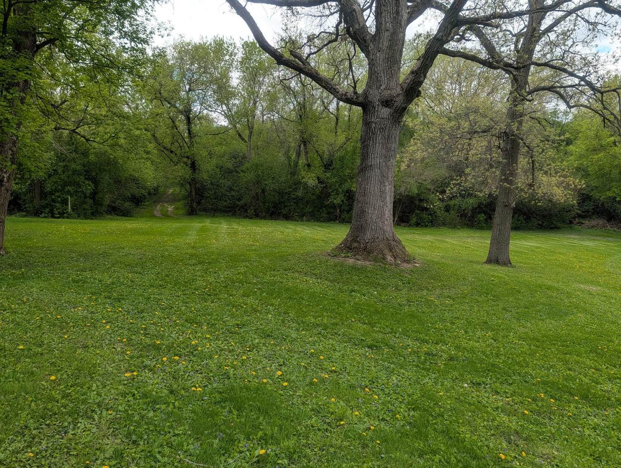 https://bt-photos.global.ssl.fastly.net/milwaukee/1280_boomver_1_1961327-2.jpg