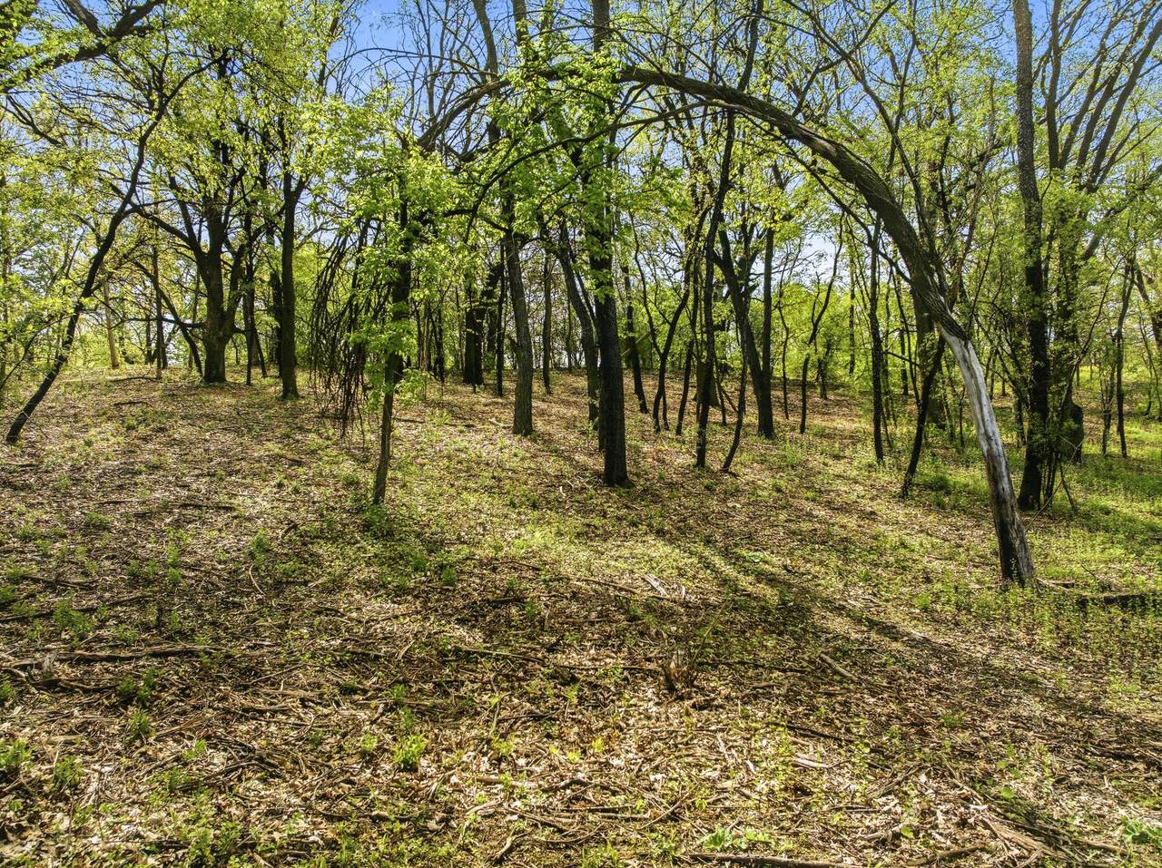 https://bt-photos.global.ssl.fastly.net/milwaukee/1280_boomver_1_1961705-2.jpg