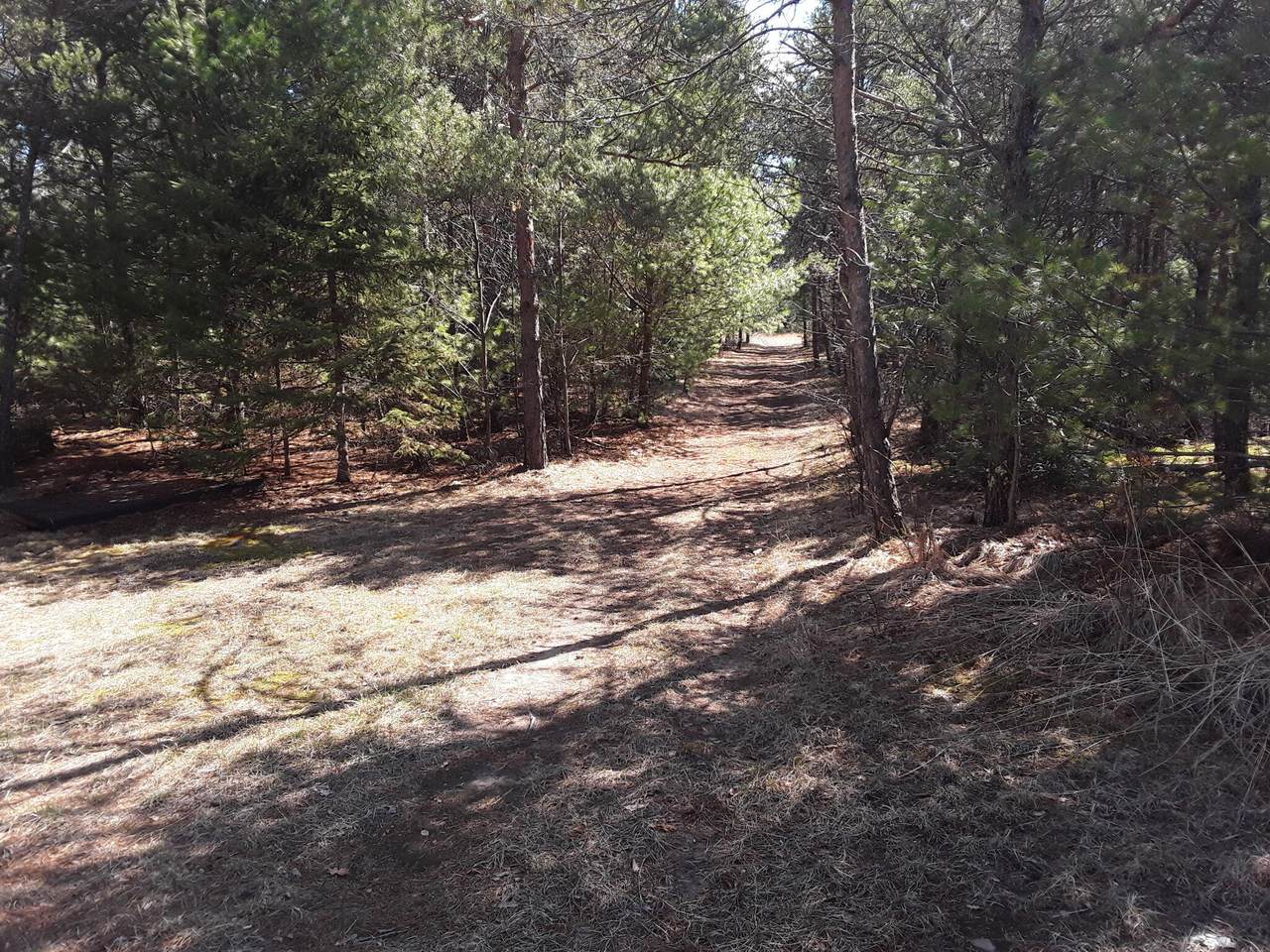 N18352 Reed Rd - Photo 1
