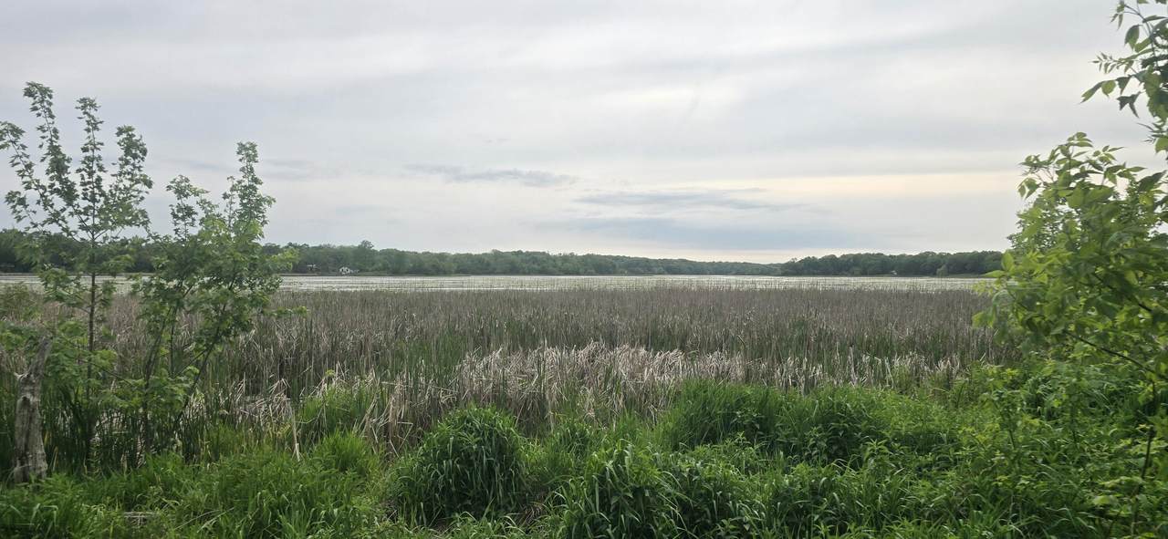 Lt7 Shore Ln - Photo 1