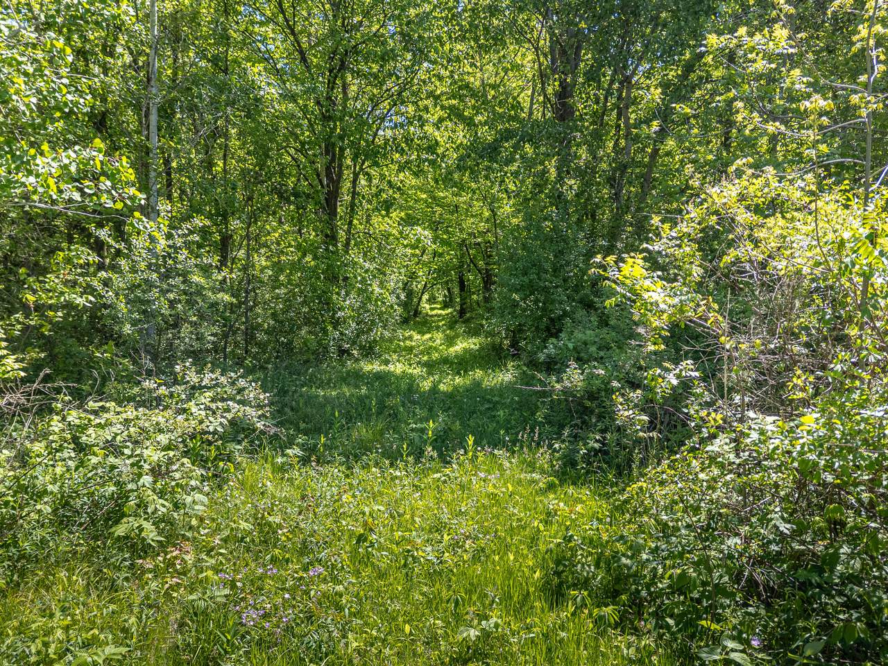 https://bt-photos.global.ssl.fastly.net/milwaukee/1280_boomver_1_1964237-2.jpg