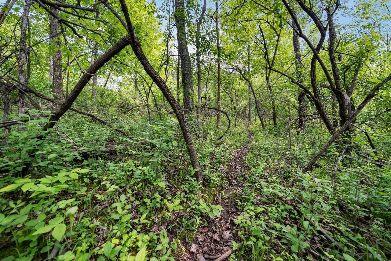https://bt-photos.global.ssl.fastly.net/milwaukee/1280_boomver_1_1965002-2.jpg