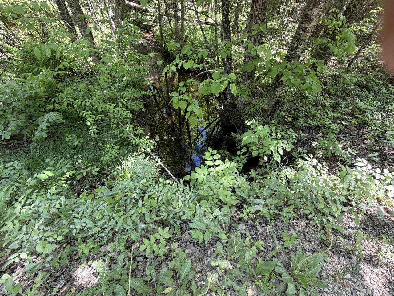 https://bt-photos.global.ssl.fastly.net/milwaukee/1280_boomver_1_1965107-2.jpg