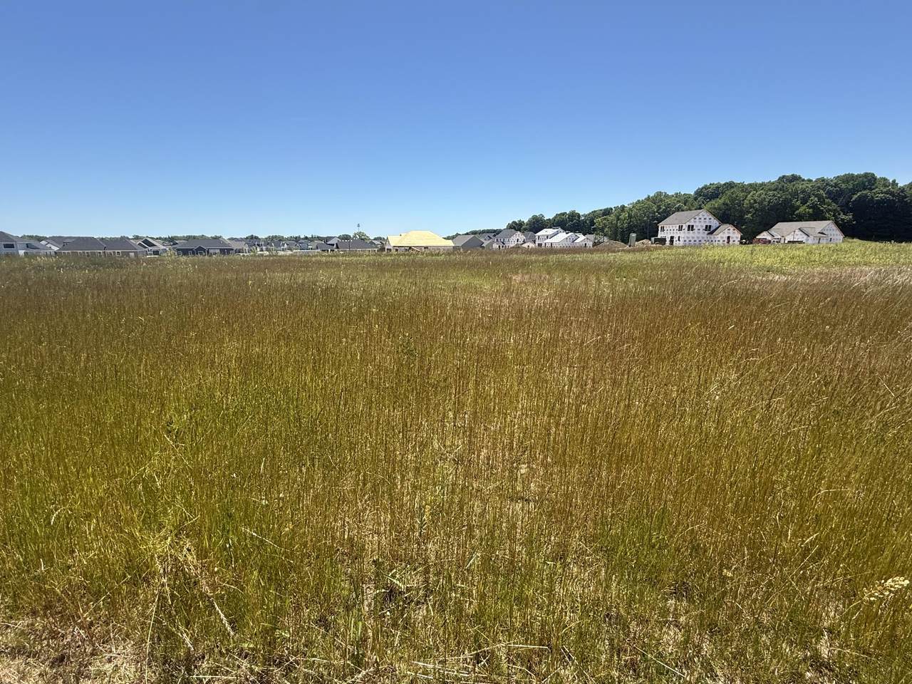 917 Pleasant Valley Rd - Photo 1