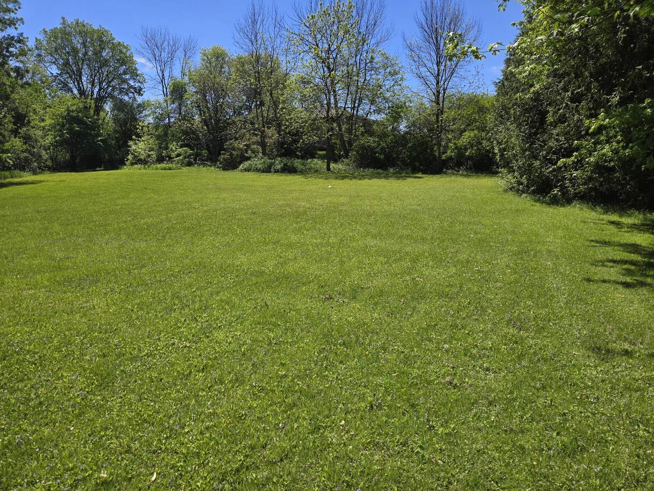 420 Church St - Photo 1