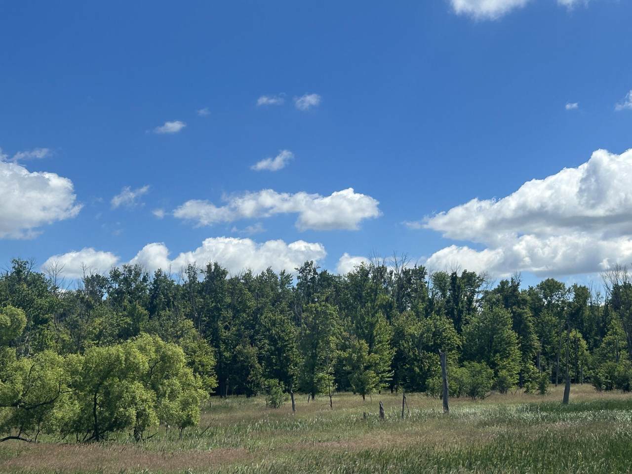 https://bt-photos.global.ssl.fastly.net/milwaukee/1280_boomver_1_1968315-2.jpg