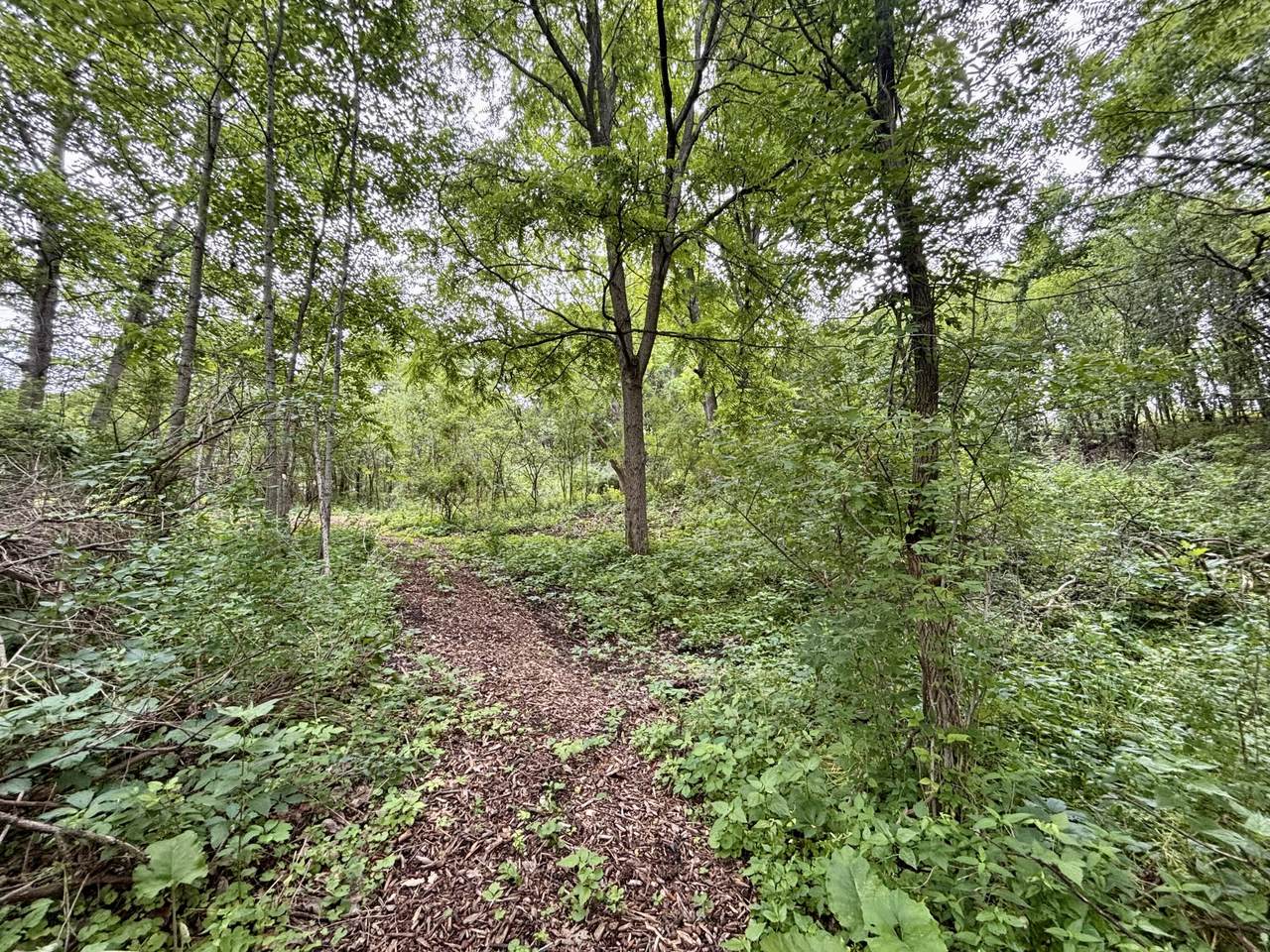 505 Brandybrook Rd - Photo 1