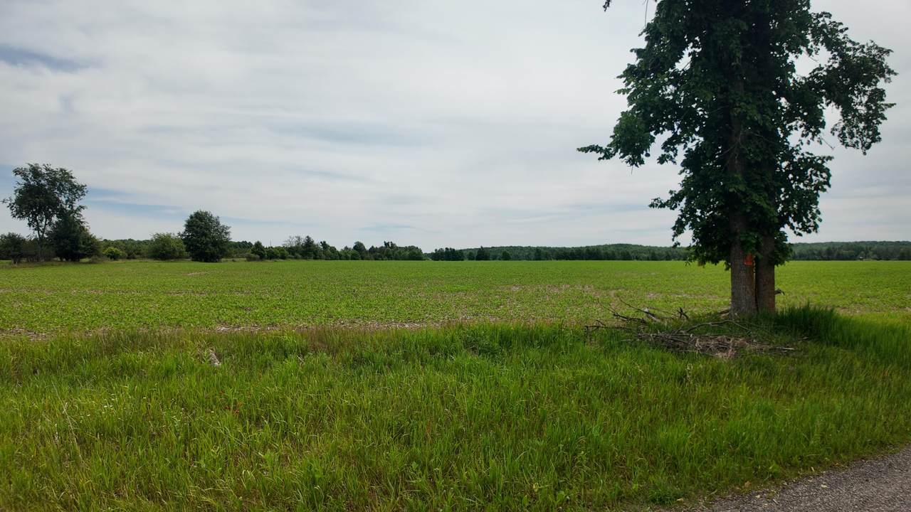 Lt1 Peshtigo River Rd - Photo 1