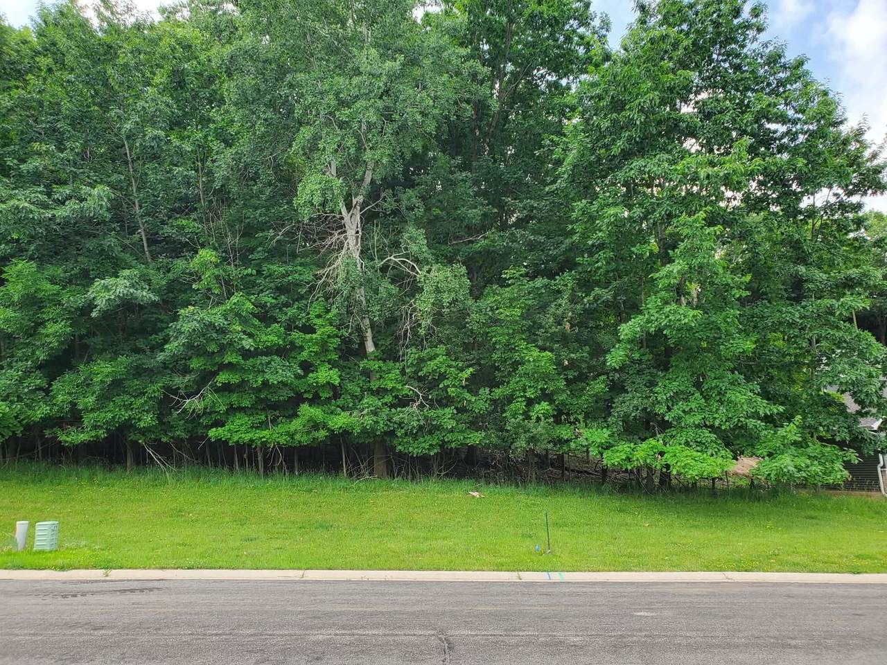 1041 Woods Edge Dr - Photo 1