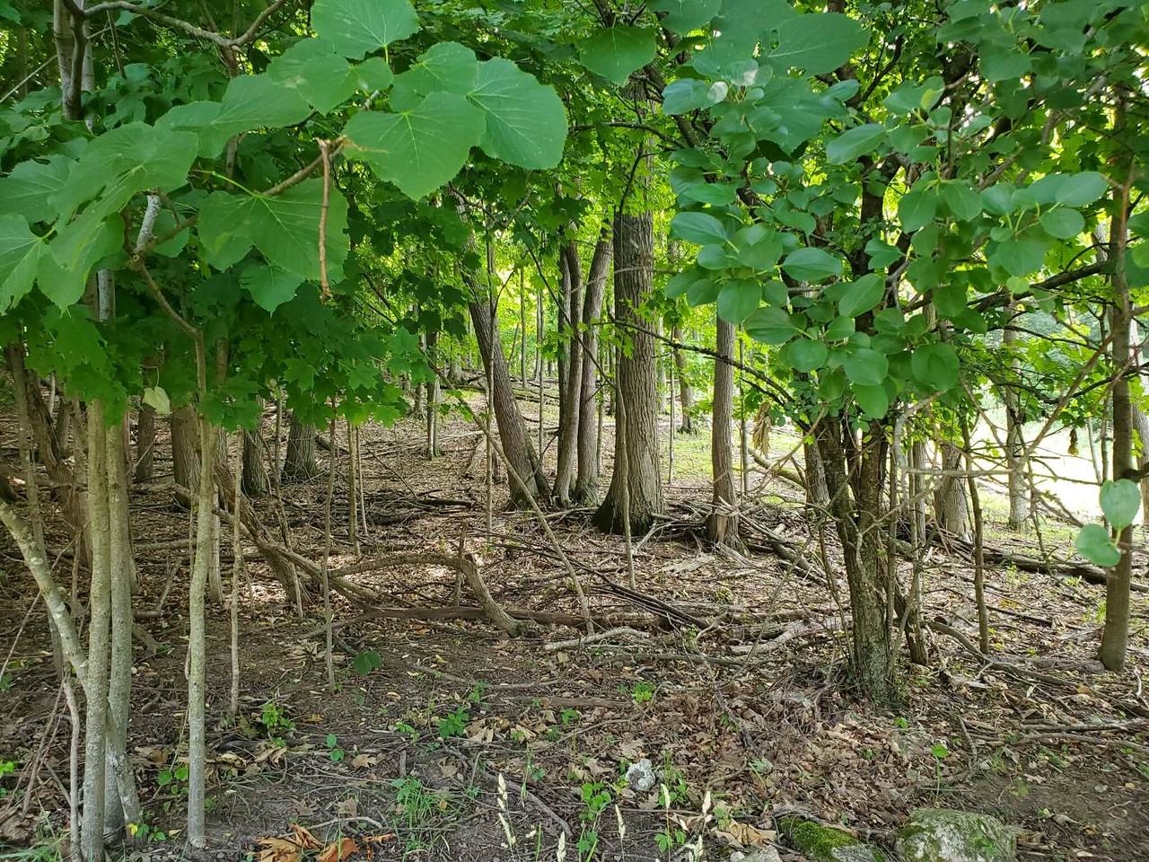 https://bt-photos.global.ssl.fastly.net/milwaukee/1280_boomver_1_1969754-2.jpg