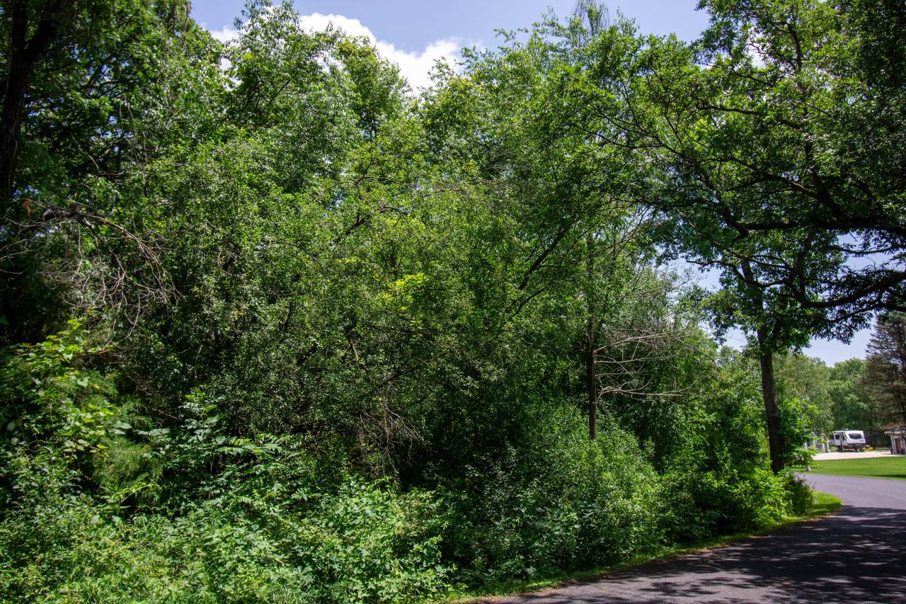 https://bt-photos.global.ssl.fastly.net/milwaukee/1280_boomver_1_1969950-2.jpg