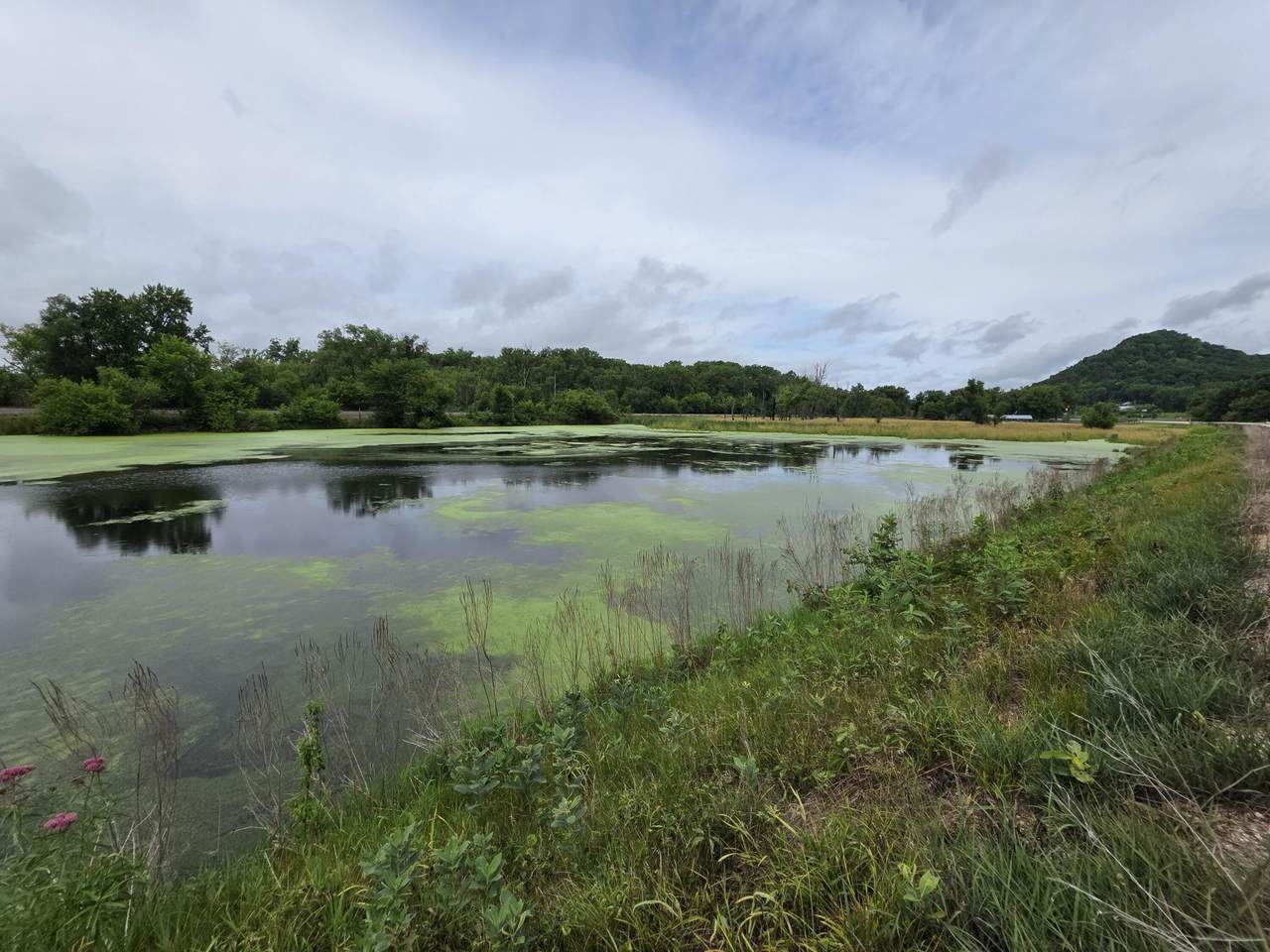 Lot 0 State Highway 35 - Photo 1