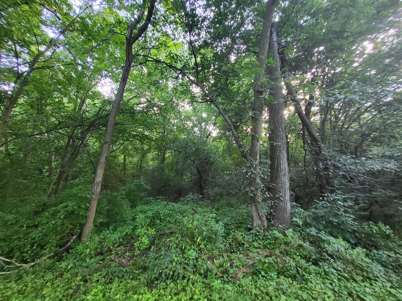https://bt-photos.global.ssl.fastly.net/milwaukee/1280_boomver_1_1970267-2.jpg