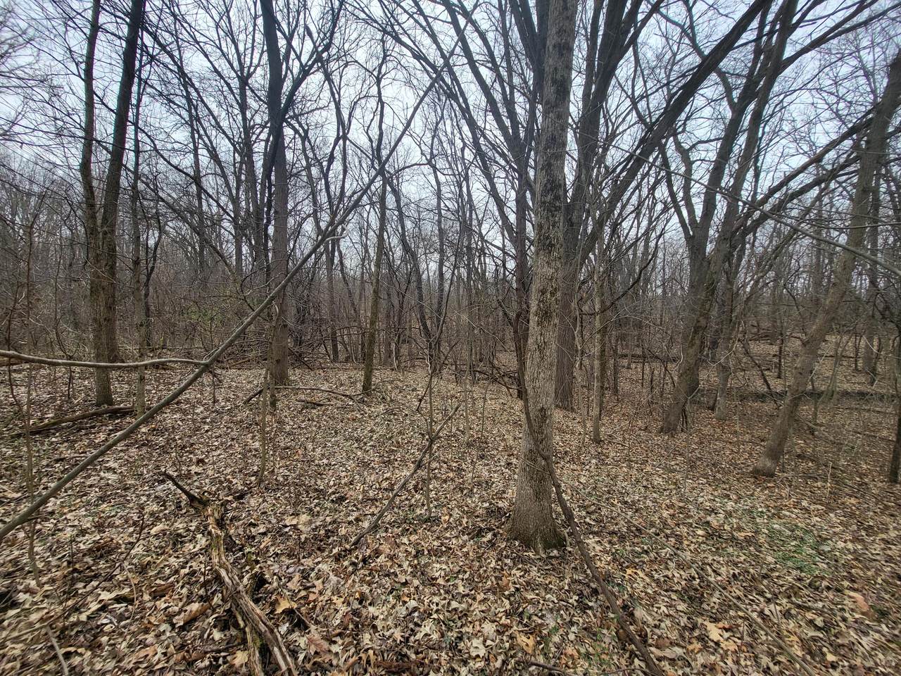 https://bt-photos.global.ssl.fastly.net/milwaukee/1280_boomver_1_1970267-2.jpg