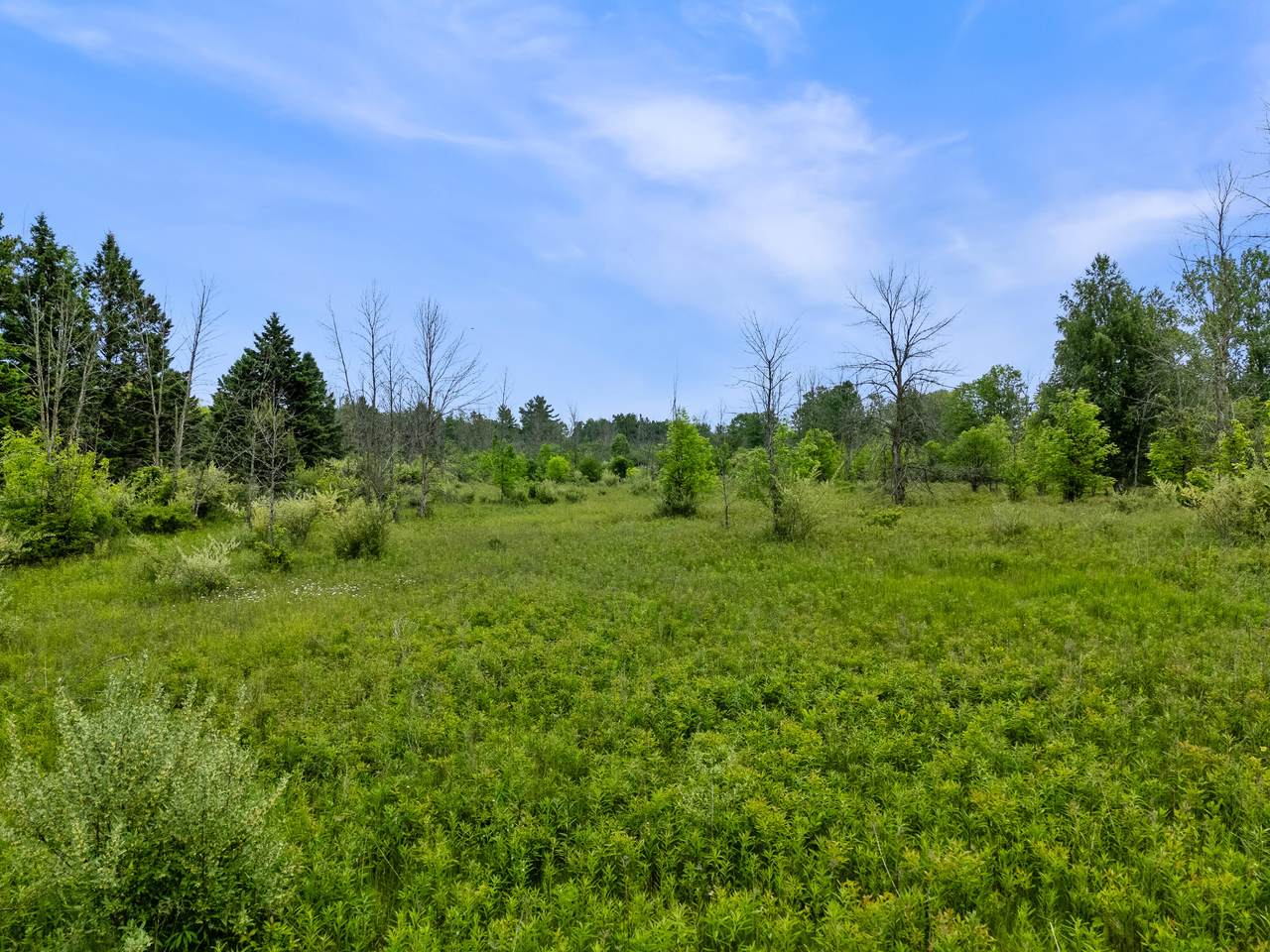 13600 Lake Shore Dr - Photo 1
