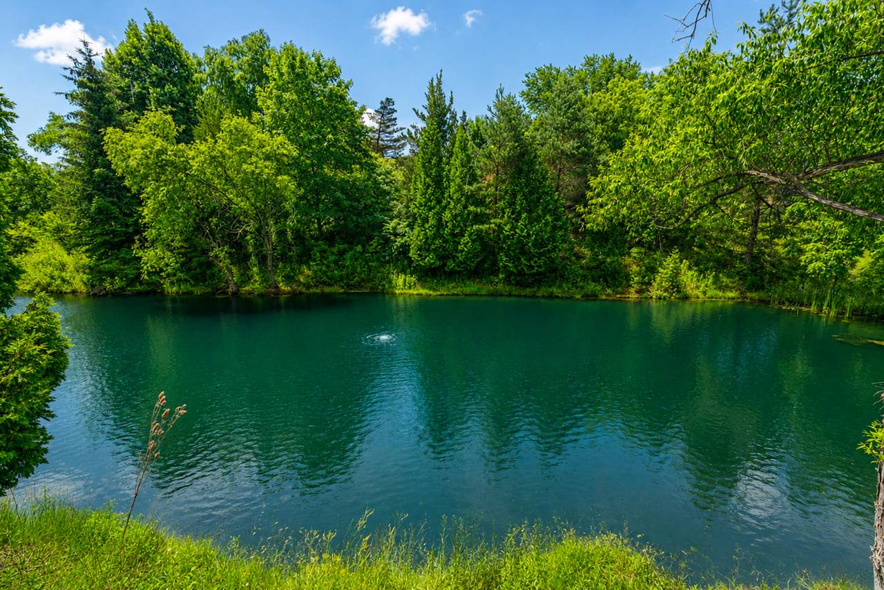 https://bt-photos.global.ssl.fastly.net/milwaukee/1280_boomver_1_1971775-2.jpg