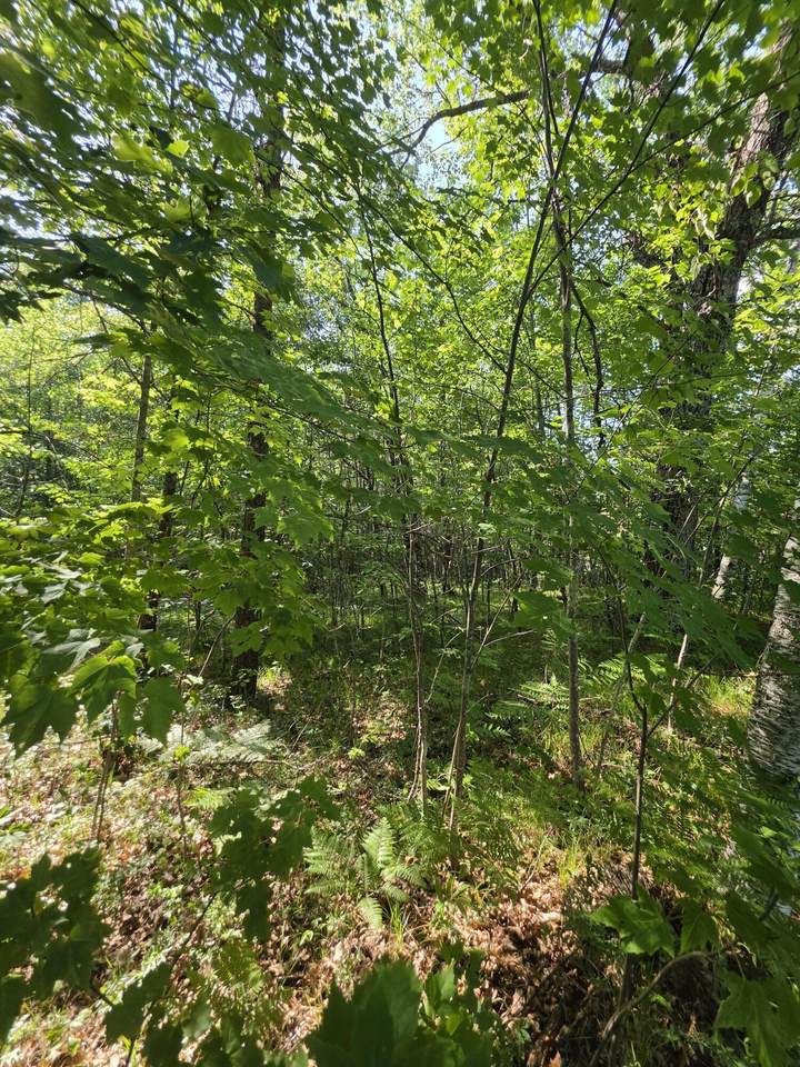 https://bt-photos.global.ssl.fastly.net/milwaukee/1280_boomver_1_1971790-2.jpg