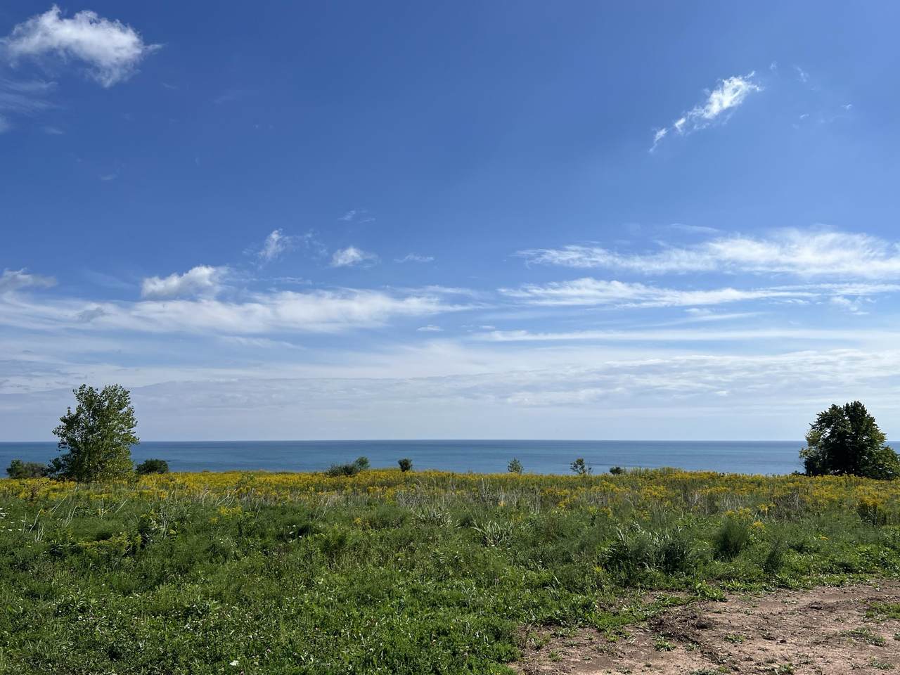 1190 Shieling Ln - Photo 1