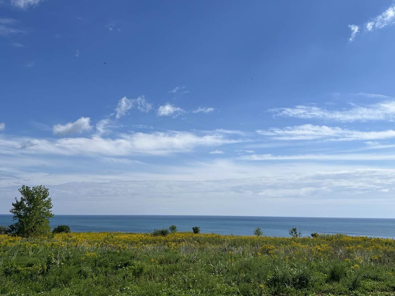 https://bt-photos.global.ssl.fastly.net/milwaukee/1280_boomver_1_1979927-2.jpg