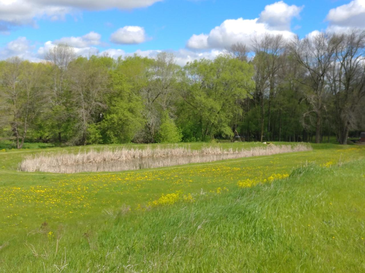 Lot 4 Audubon Rd - Photo 1