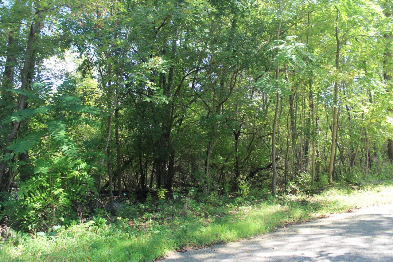 Lts3787 Walnut Rd - Photo 1