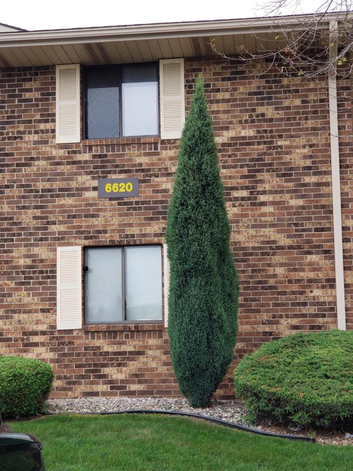 6620 Mariner Dr - Photo 1
