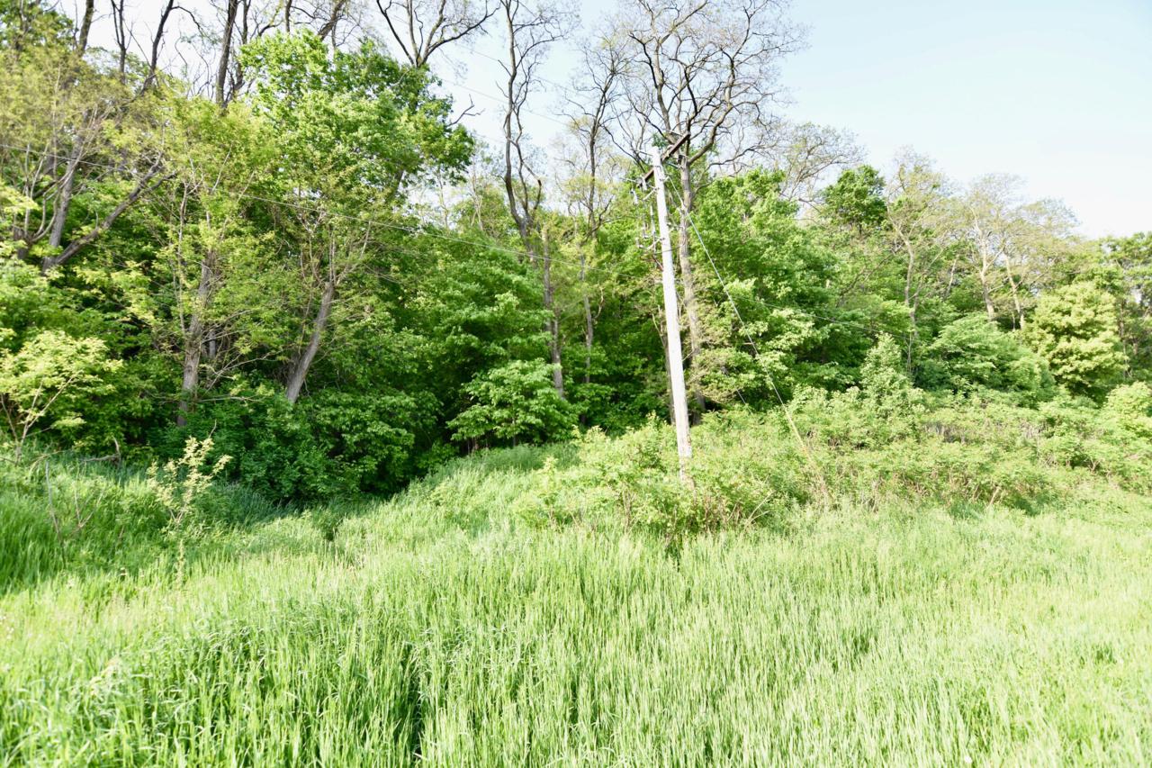 Lot 0 State Road 54/93 - Photo 1