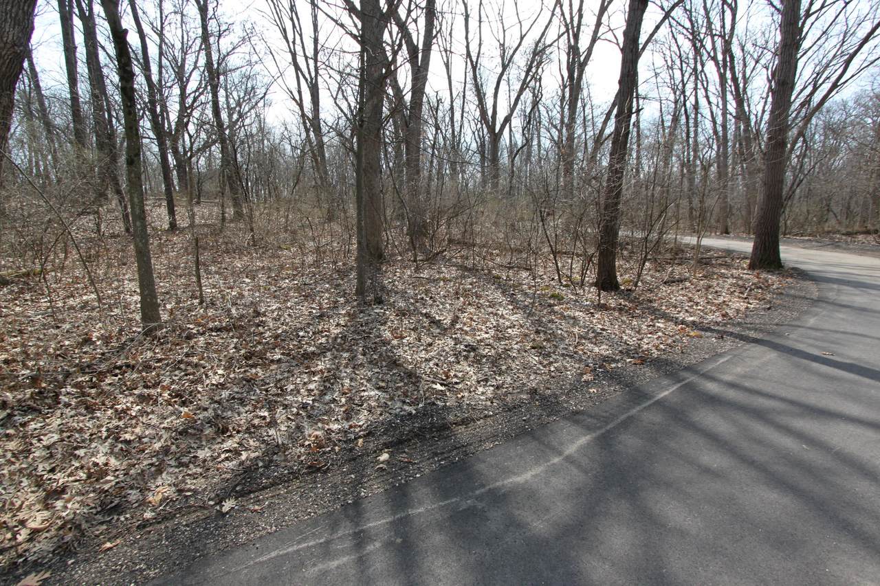 Lt5 Deer Path - Photo 1