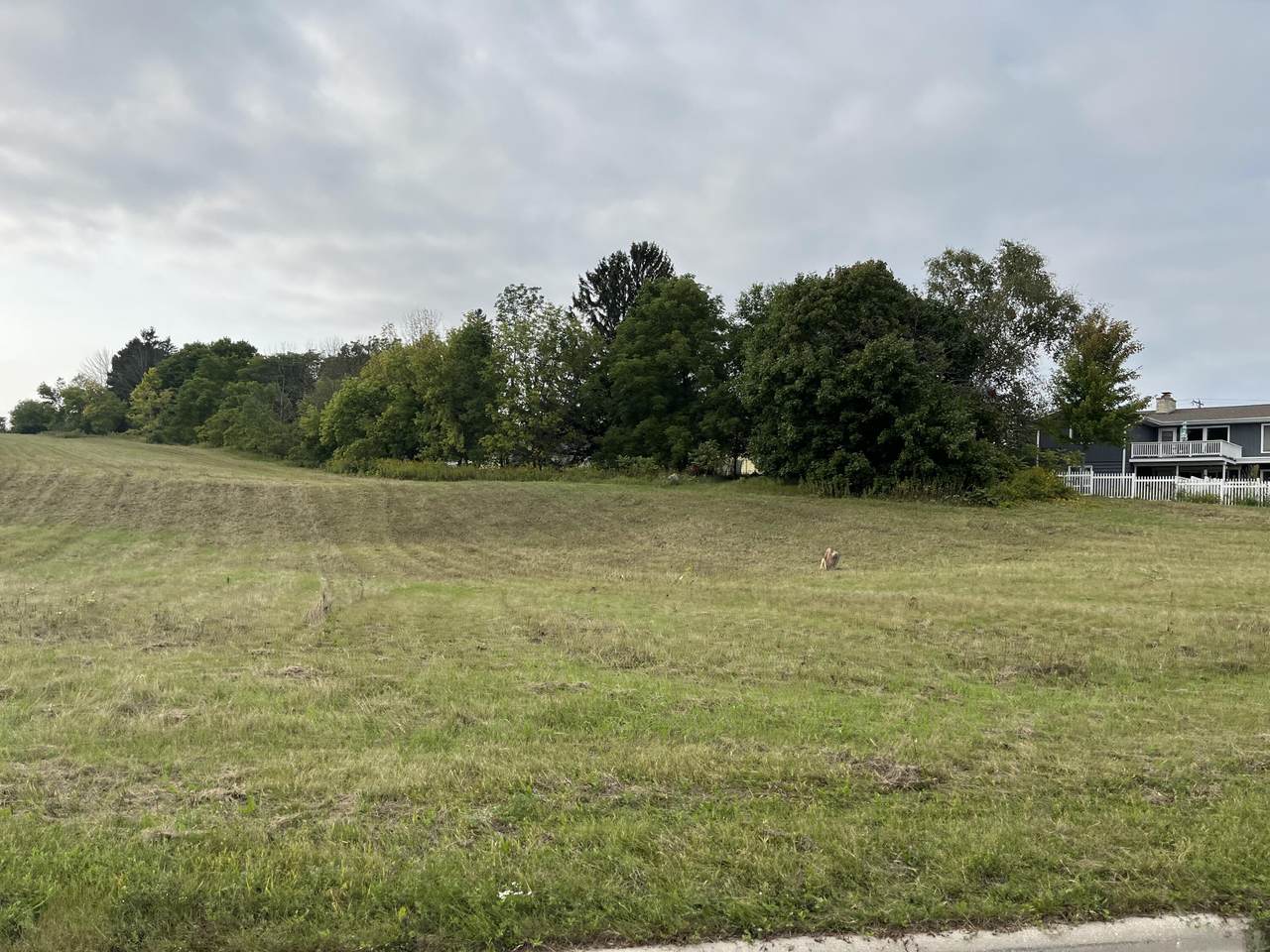 570 Meadow Ridge Ln - Photo 1