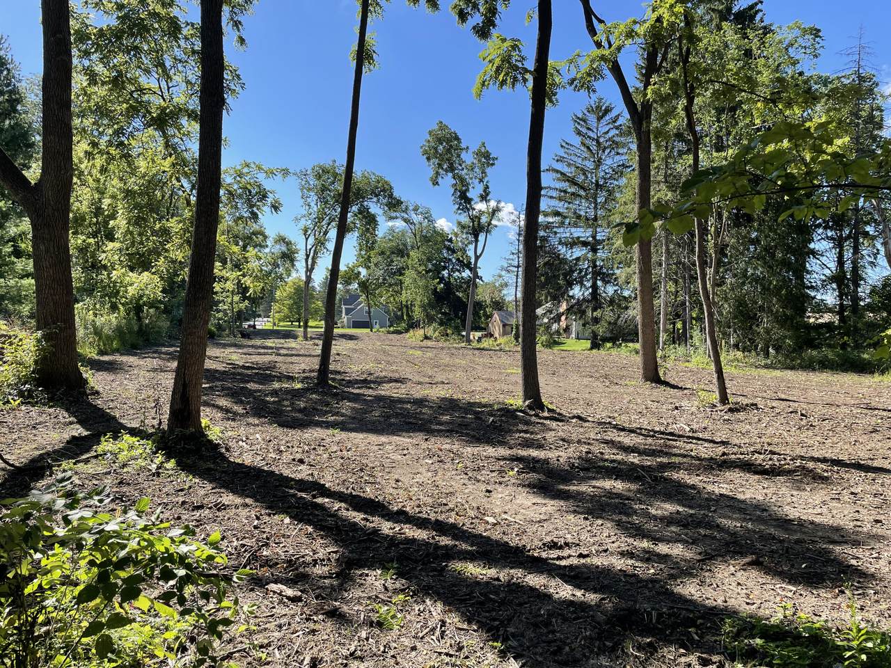 3940 Lilly Rd - Photo 1