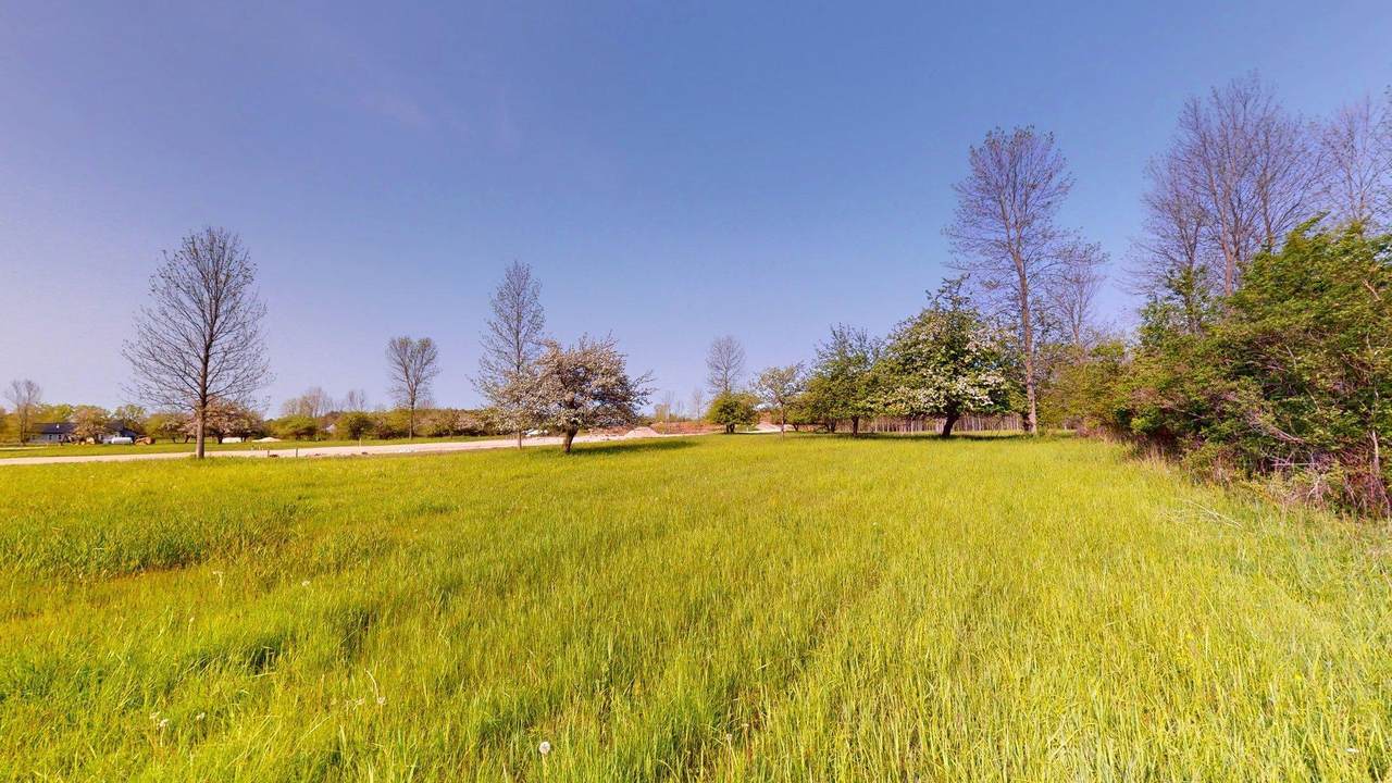 Lt5 Orchard Ln - Photo 1