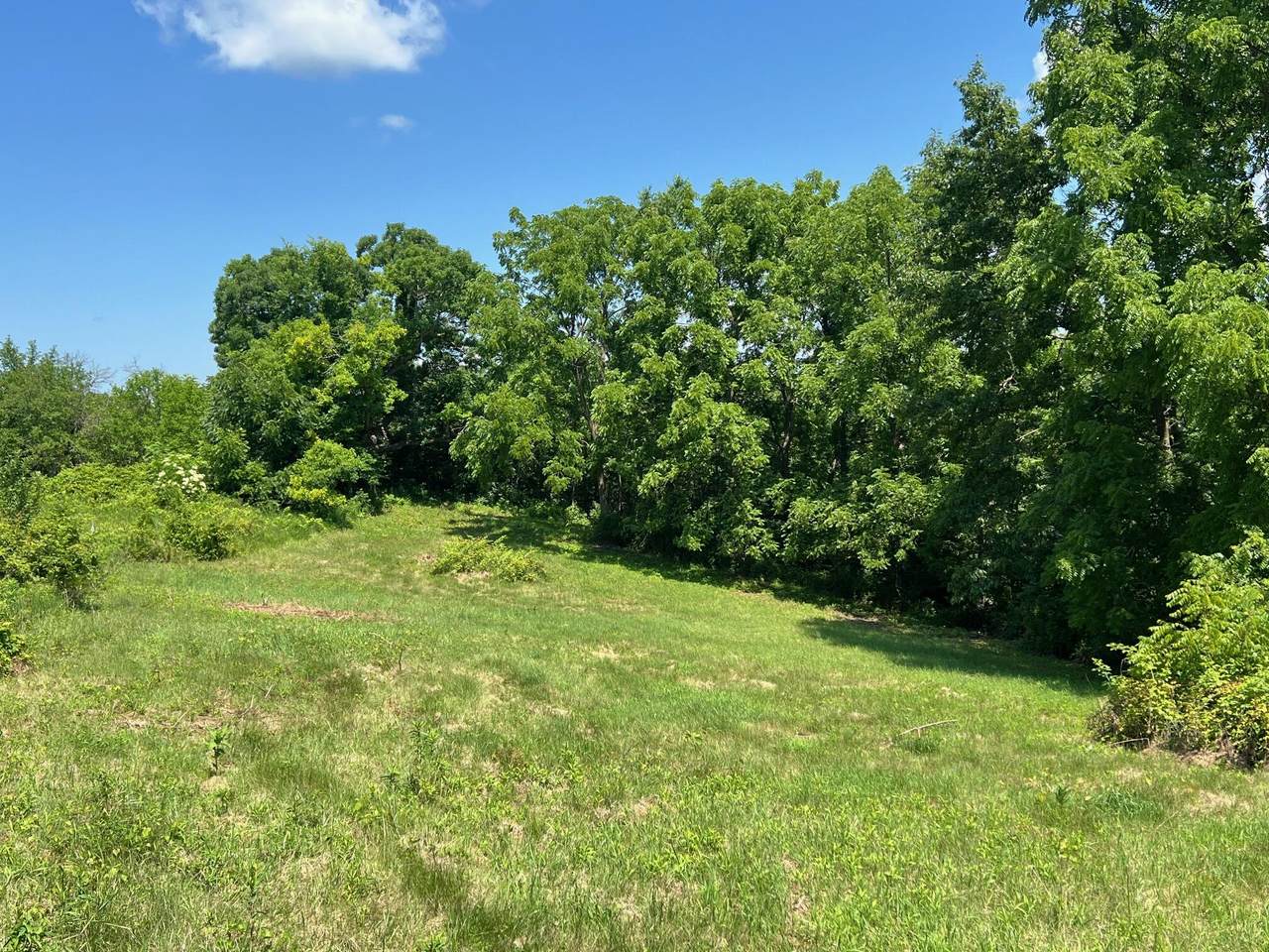 Lot 16 Skyview Ln - Photo 1