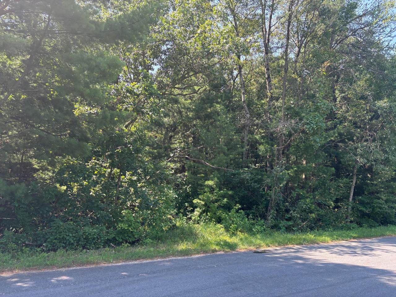1107 Fawn Ct - Photo 1