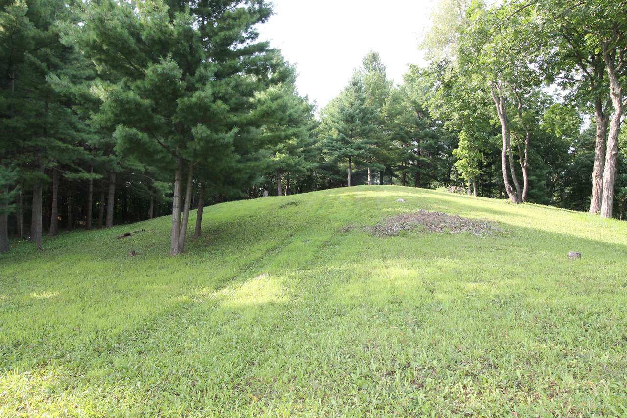 6834 Horseshoe Trl - Photo 1