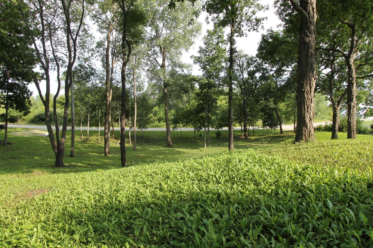 6824 Horseshoe Trl - Photo 1