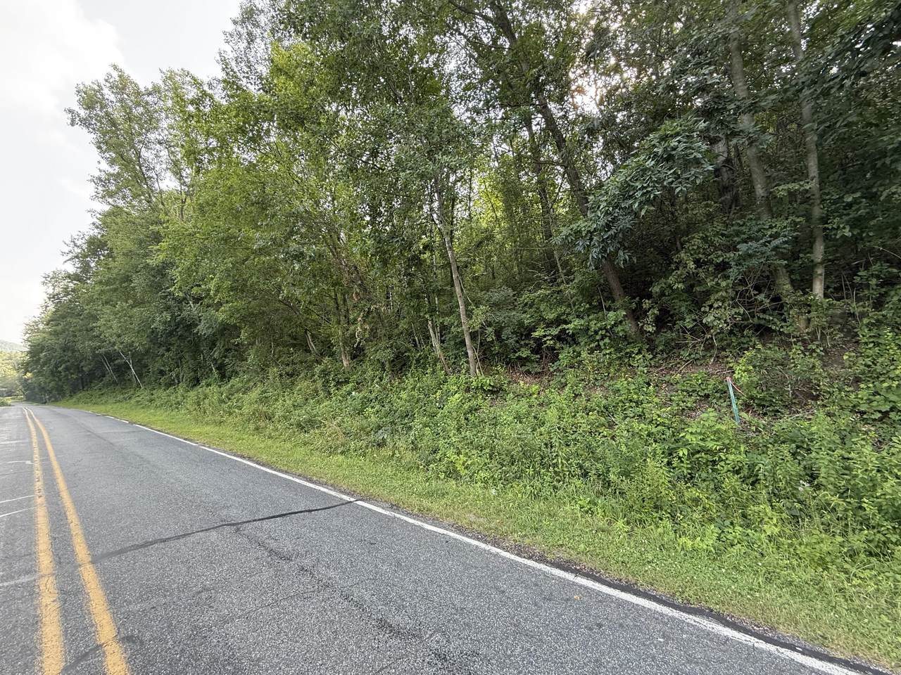 00 Smith Valley Rd - Photo 1