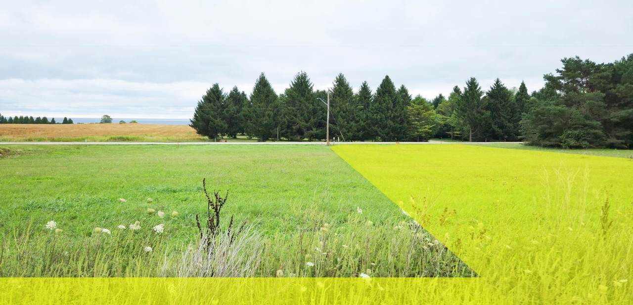 Lt2 Lakeshore Dr - Photo 1