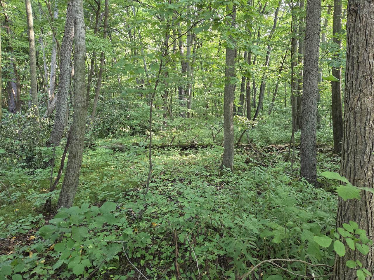 https://bt-photos.global.ssl.fastly.net/milwaukee/1280_boomver_2_1932836-2.jpg