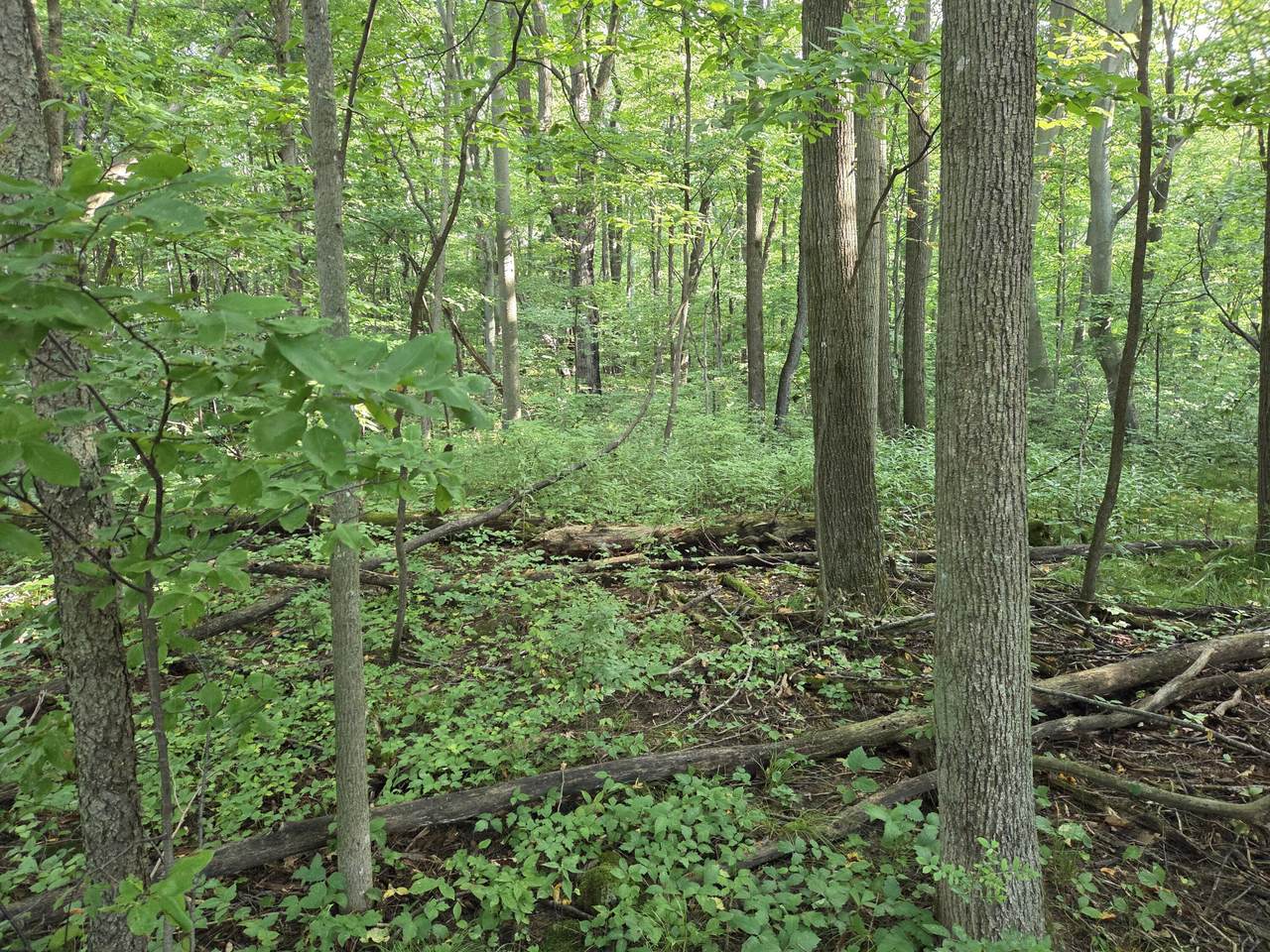 https://bt-photos.global.ssl.fastly.net/milwaukee/1280_boomver_2_1932836-2.jpg