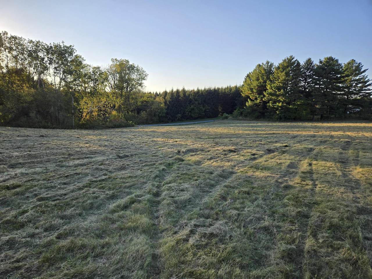 00 Nessett Rd - Photo 1