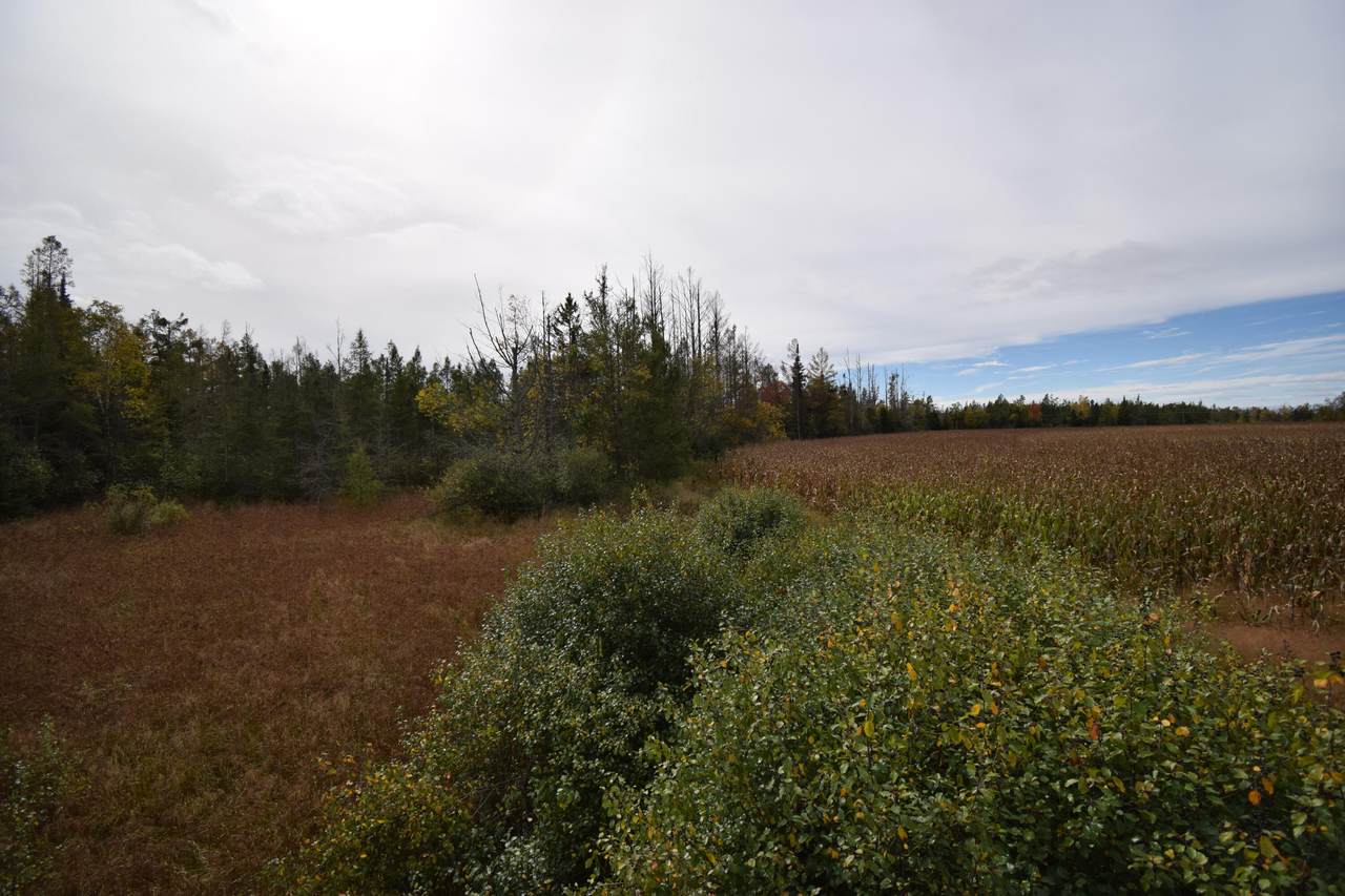 Lt1 Old Highway 8 - Photo 1