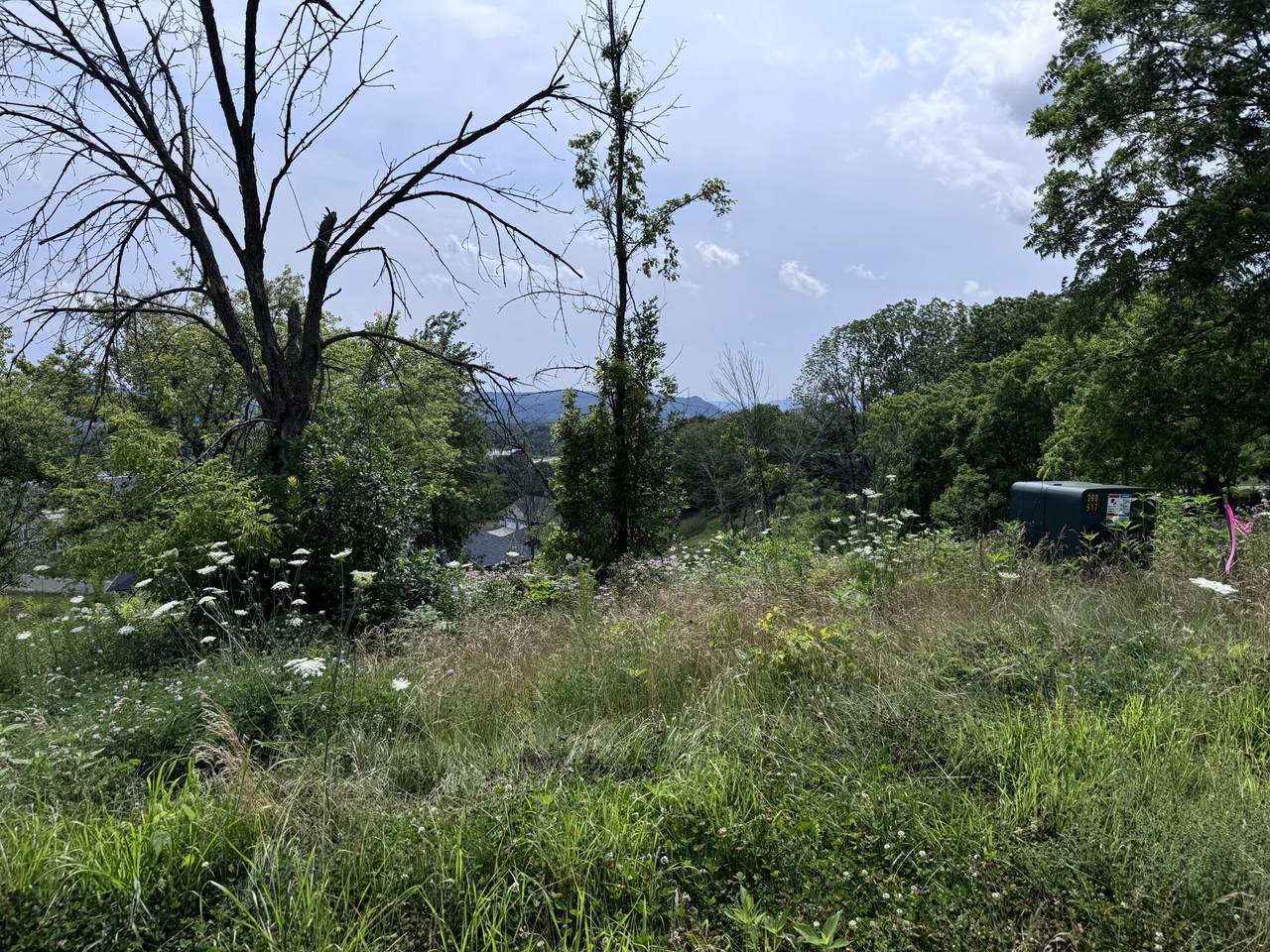 Lot 38 Madison Heights Dr - Photo 1