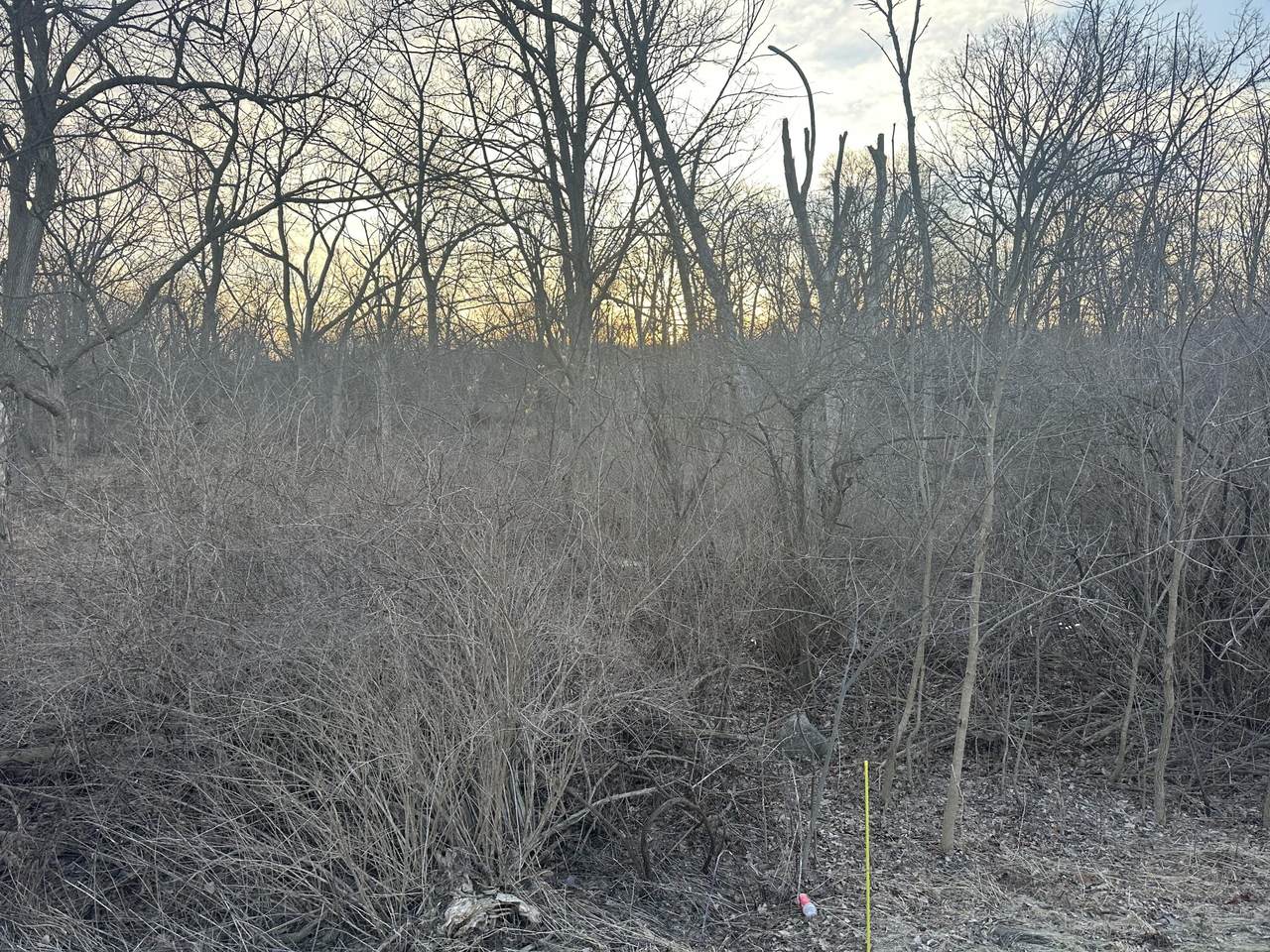 LtB Schofield Rd - Photo 1