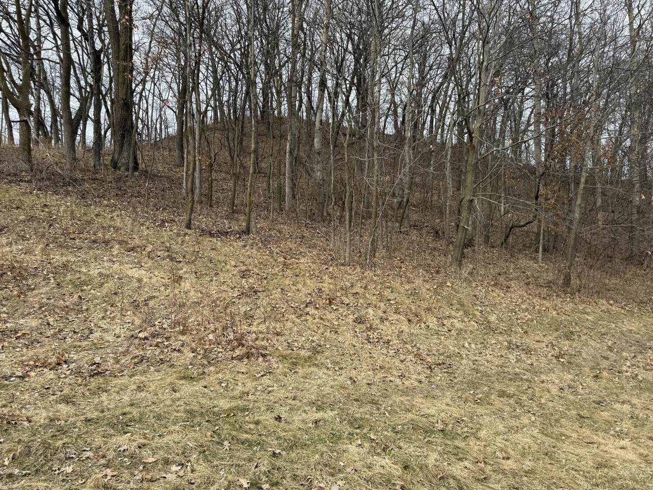 https://bt-photos.global.ssl.fastly.net/milwaukee/1280_boomver_2_1954941-2.jpg