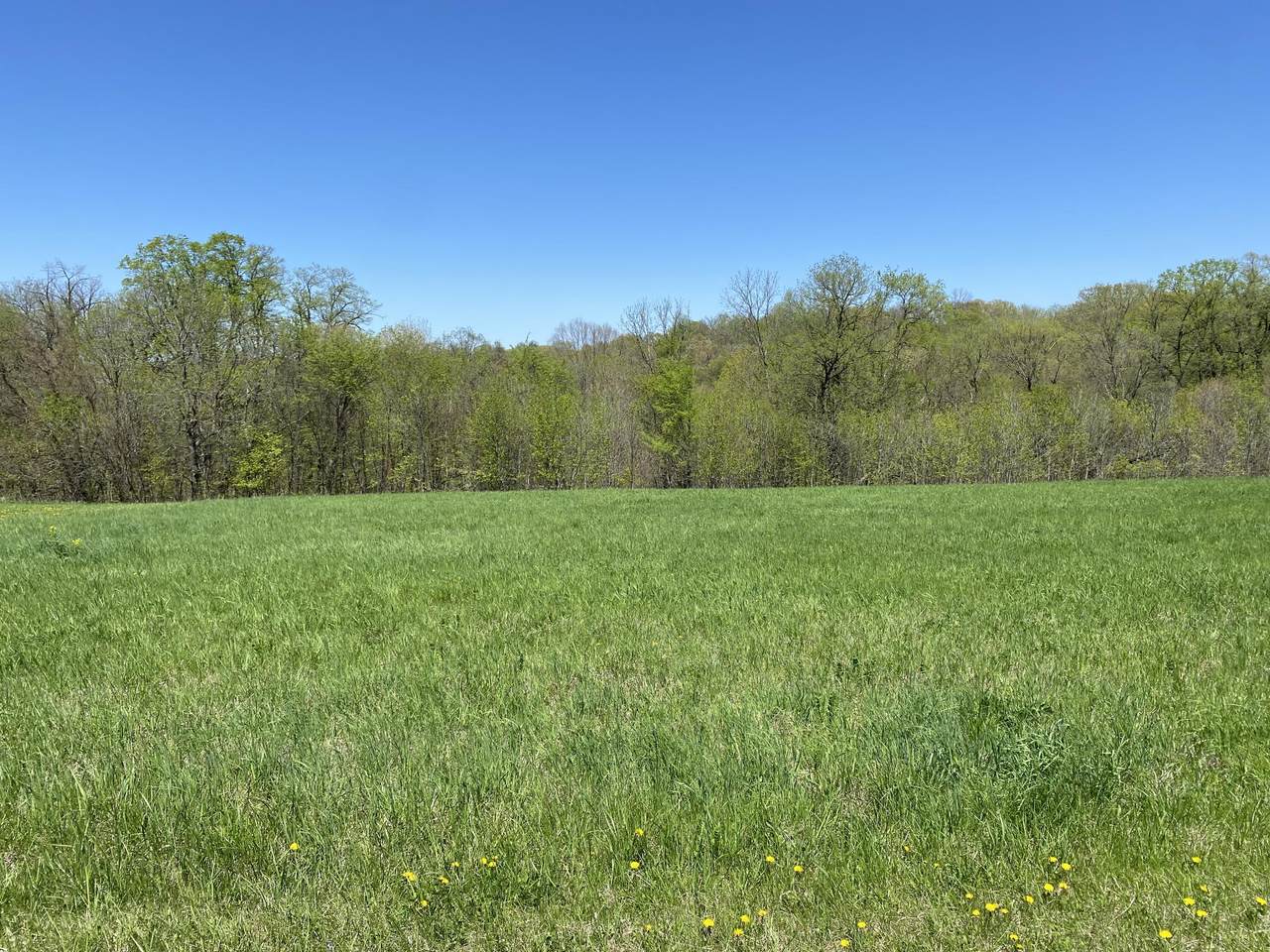 https://bt-photos.global.ssl.fastly.net/milwaukee/1280_boomver_2_1958438-2.jpg