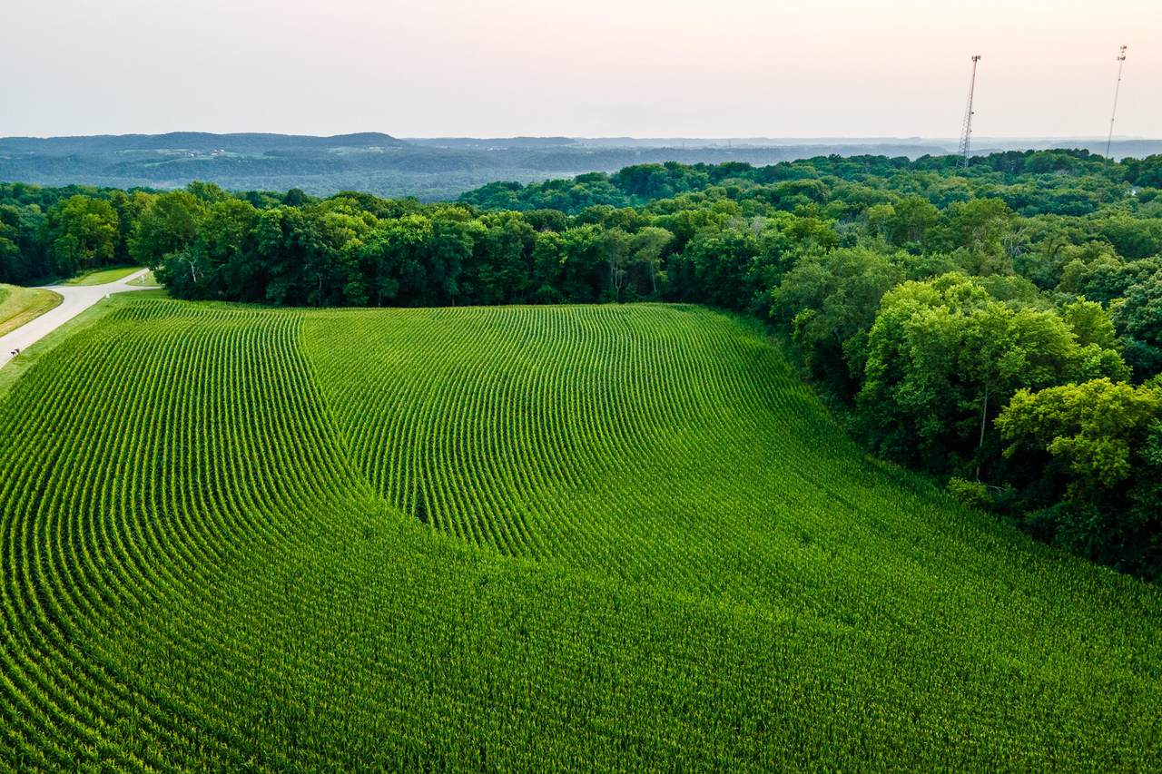 Lt3 St. Charles Rd - Photo 1