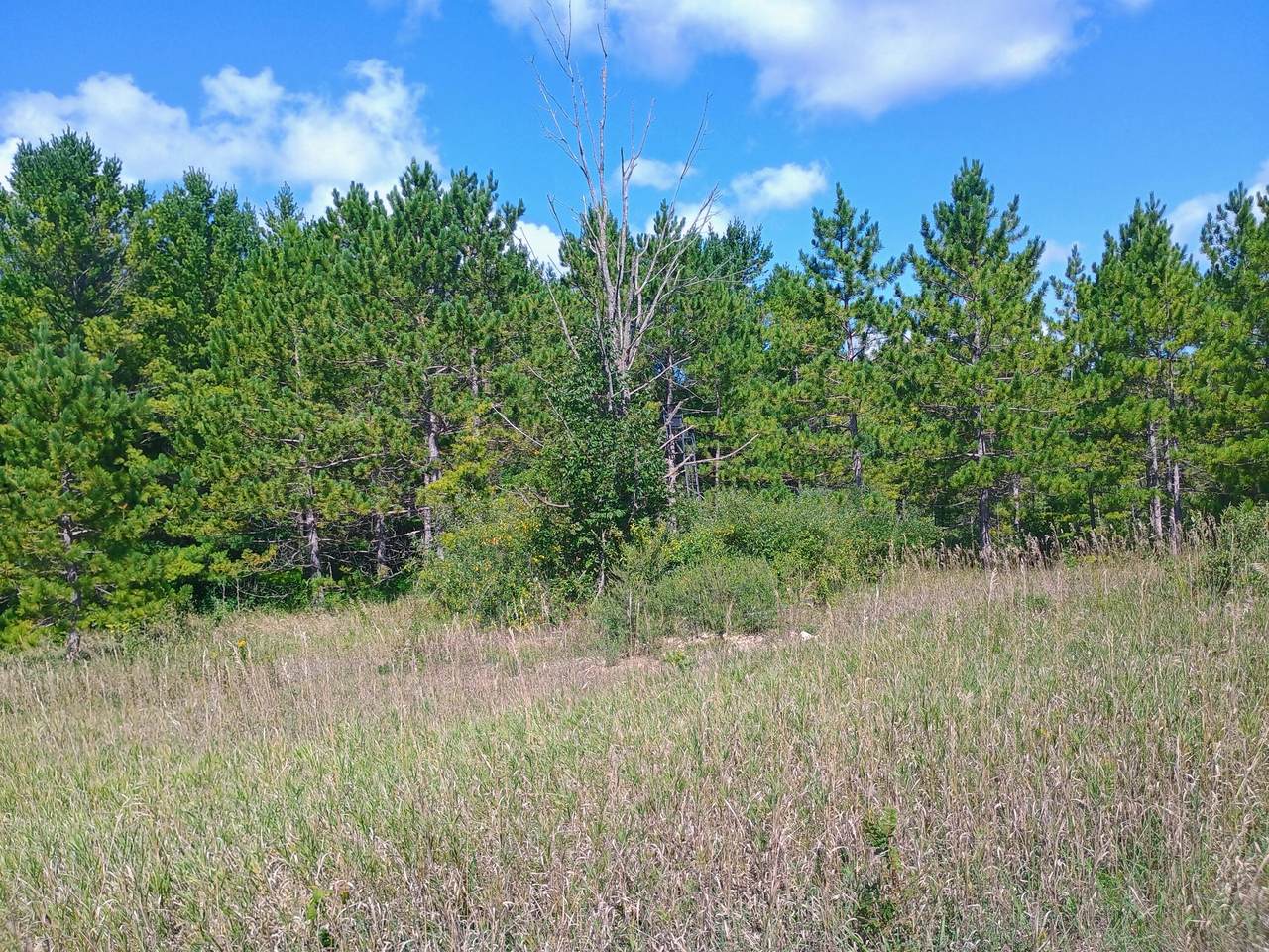 Lt2 County Highway Y - Photo 1