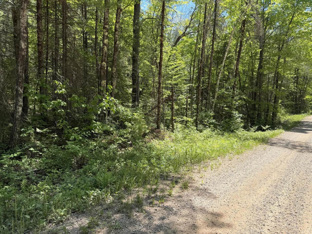 Lt1 Westberg Rd - Photo 1